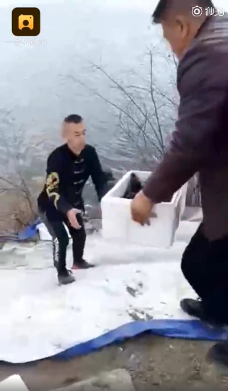 男子花几万块买小龙虾放生：龙虾给我托梦了