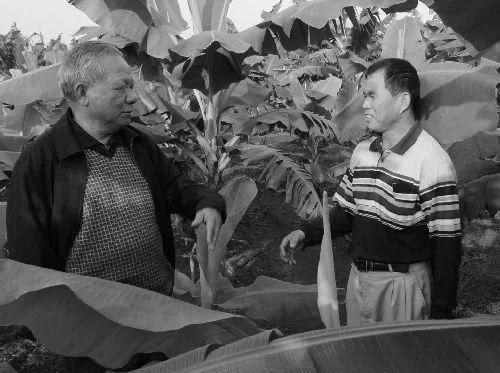  陈苏厚与村民交流