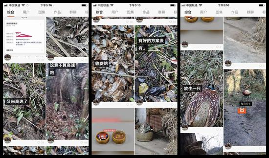 严防病从口入：起底野味产业链 整肃需要下重拳