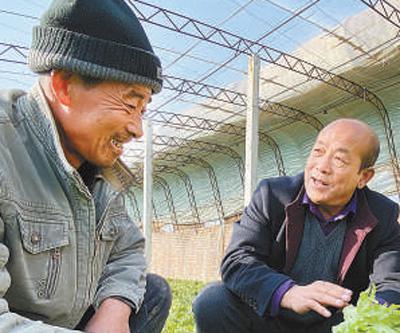 李志刚（右）在大棚内询问生菜种植情况。本报记者 史自强摄