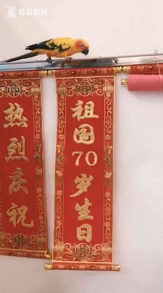狂买300亿、砸盘130亿 A股最后3分钟怎么了?