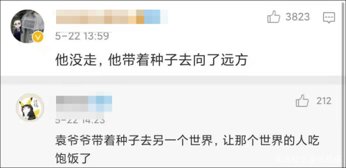 袁隆平遗照确定市民雨中痛别菊花也断货一条评论让数万人泪目