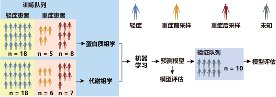實驗設(shè)計及流程