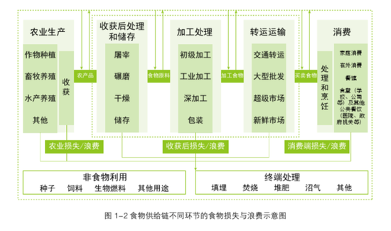 食品供应链不同环节食物浪费示意图（图源：《2018中国城市餐饮食物浪费报告》）