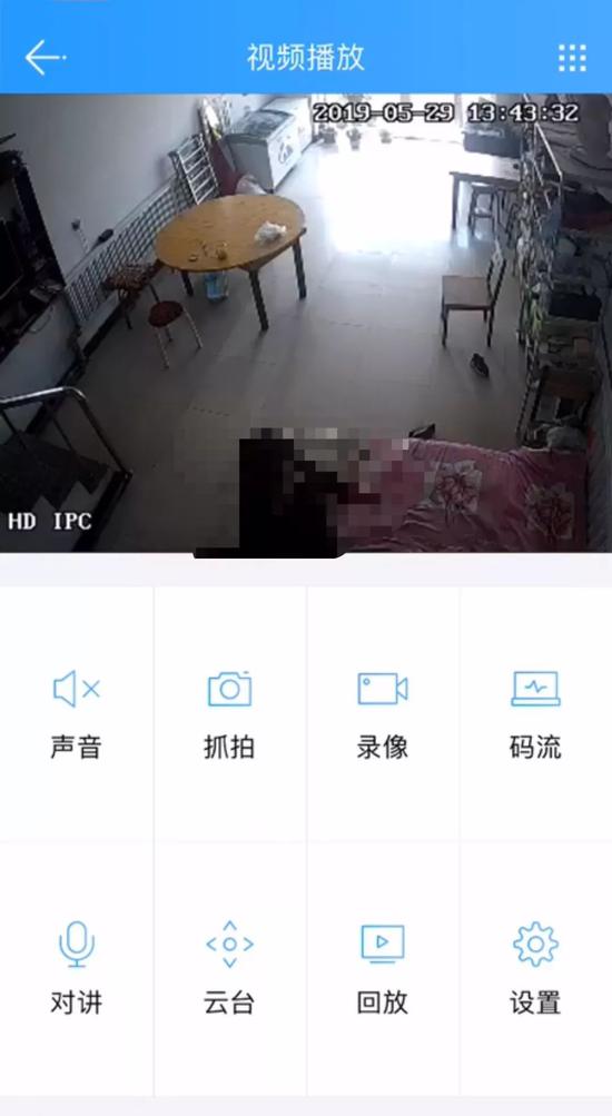 ▲5月29日下午,新京报记者登录云视通账号看到监控视频直播画面。画面截图