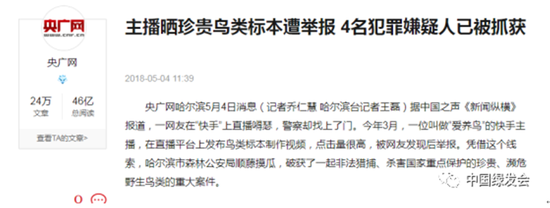 东方白鹳遭偷猎 为暴利竟给它下毒