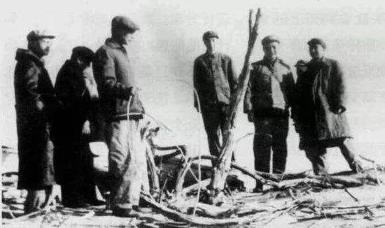 邓稼先夫人:邓稼先妻子许鹿希33年不愿搬家 因为这原因 1967年邓稼先(右二)在新疆核试验厂区,地面为枯干千年的树木