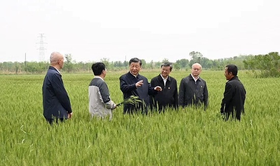 △5月11日上午,在河北沧州黄骅仙庄片区旱碱地麦田考察时,习近平总书记同种植户、农技专家亲切交流。