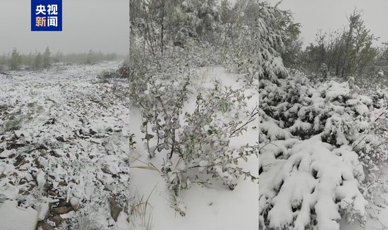 一觉醒来“穿越”入冬 黑龙江大兴安岭现降雪天气