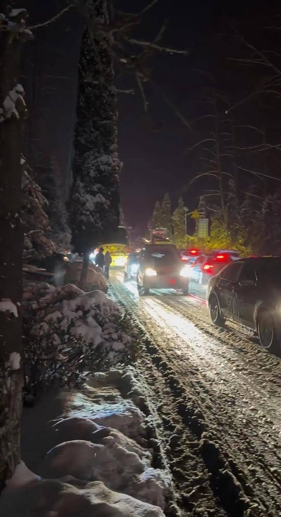 “-9℃，又冷又饿还没信号！”洛阳突遇暴雪多处道路被封，大批老君山游客滞留超12小时