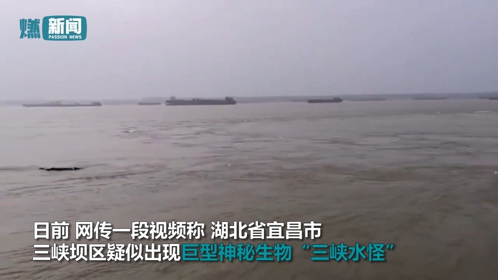 重庆水怪:最早拍“三峡水怪”的人:10多天前拍摄 是漂浮物