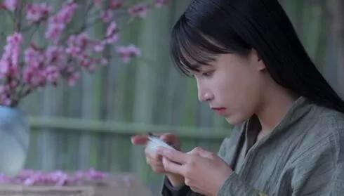 中国日报:别捧别踩 把李子柒的世界还给她
