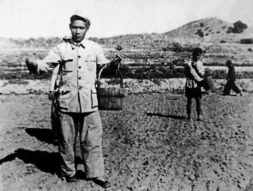 谷文昌同志1958年在福建省东山县坑北村参加播种。