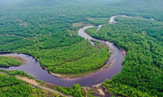 这是内蒙古呼伦贝尔根河源国家湿地公园景色（无人机照片，2021年6月8日摄）。新华社记者 连振 摄