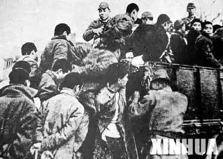 图为日军将大批南京青壮年捆绑后,押去野外整体搏斗。新华社发