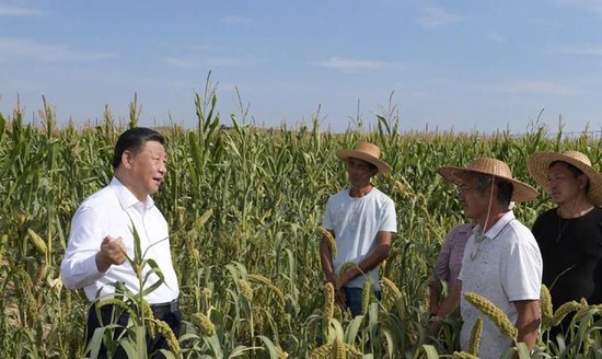 时政微观察丨我将无我 不负人民