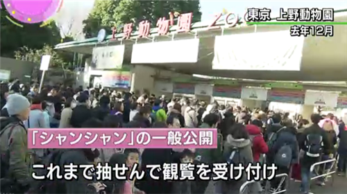 上野动物园门口,人。们排长队等着望“香香”(NHK电视台截图)