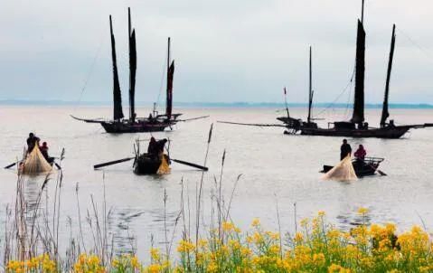  △江苏高邮湖泊湿地农业系统