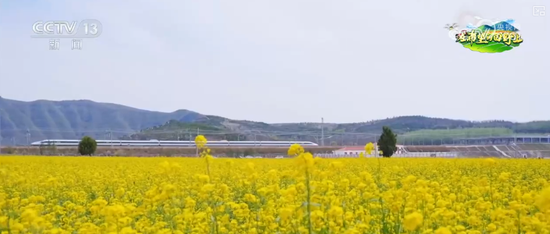 以花为媒、以节兴旅 乘坐“开往春天的列车”解锁多样春日限定浪漫