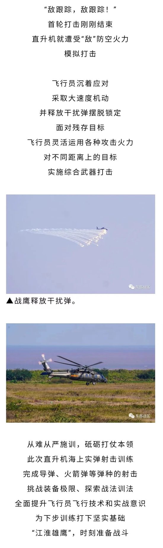 胃和耳朵，哪个和晕车关系更大？