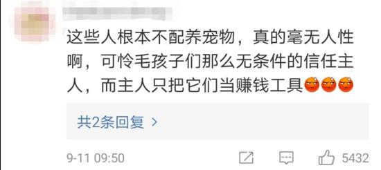 视频|吃辣椒、跳跳糖……宠物狗被强迫当大胃王惹怒网友