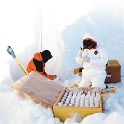 南极科考队员正在进行样品分类。自然资源部极地考察办公室供图