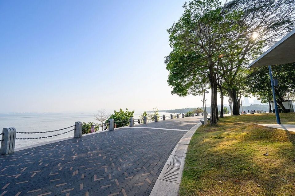 这种停车乱象，终于有人出手了