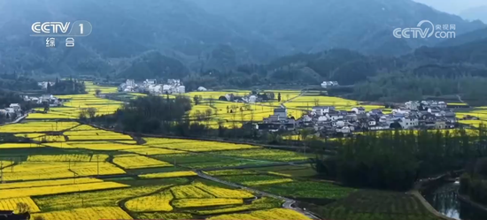 “赏花游”成为农文旅融合新热点 “春日美景”激活消费升级新图景