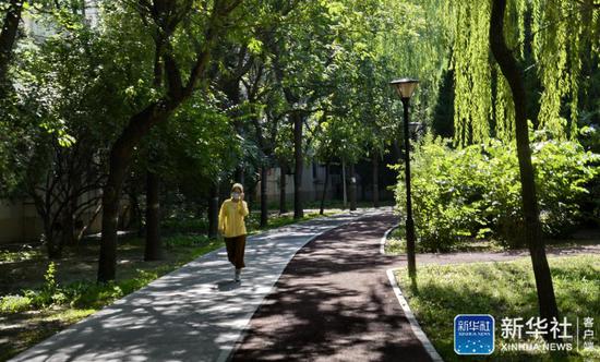 ↑市民在北京市昌平区龙泽社区内的休闲步道锻炼身体（8月10日摄）。新华社记者 李欣 摄