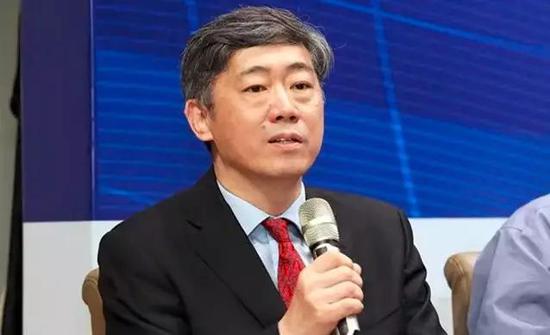 李稻葵  资料图