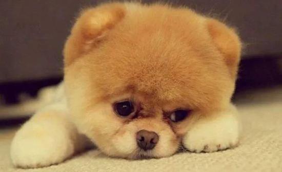 童年记忆又翻车？许多人爱吃的黑芝麻要“糊”