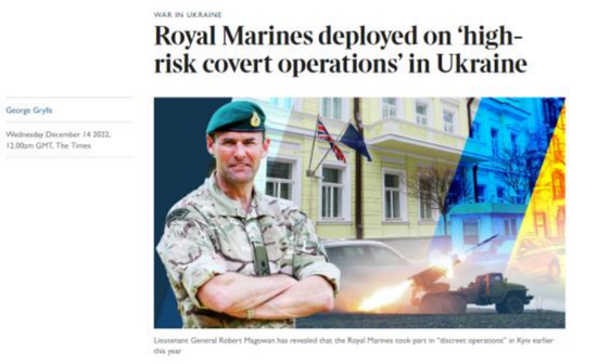 英国王家海军陆战队被部署在乌克兰执行“高风险秘密行动” 图：泰晤士报网站报道截屏