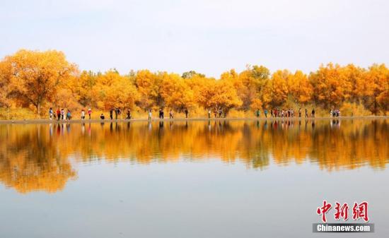 金塔沙漠胡杨林位于甘肃金塔县城以西的潮湖林场,为三北防护林体系的一部分朱希彬 摄