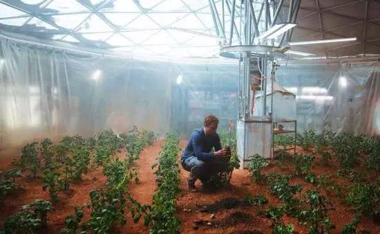 （图：电影《火星救援》剧照，在火星上种土豆是未来人类的愿景之一。）