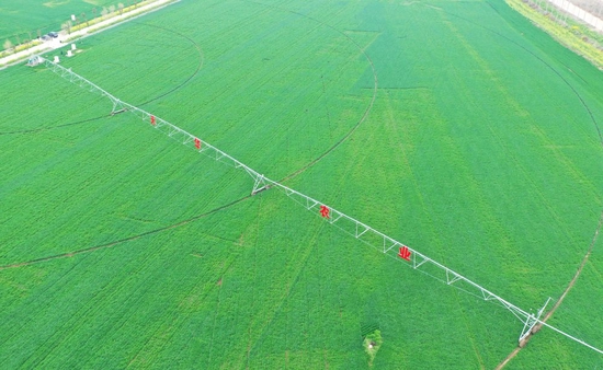  这是在河南省周口市商水县拍摄的高标准农田示范区（2022年3月22日摄，无人机照片）。新华社记者 张浩然 摄