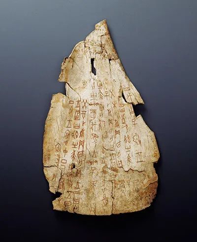 商代是中国文字形成和发展的重要时期，至迟从商代中晚期开始，中国已出现了最早的、相对成熟的文字体系，其中甲骨文、金文数量最繁，意义重大。图为收藏于中国国家博物馆的王宾中丁·王往逐兕涂朱卜骨刻辞。　新华社发 中国国家博物馆供图