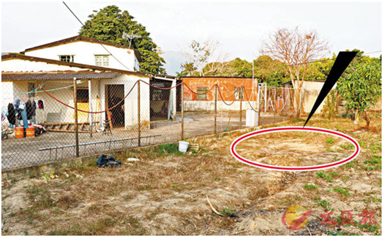 黄姓男子住所对面农地被挖出烈性炸药。（图片来源：香港《文汇报》）