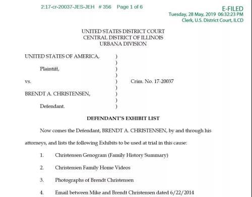 辩方提交的证据清单部分截图。