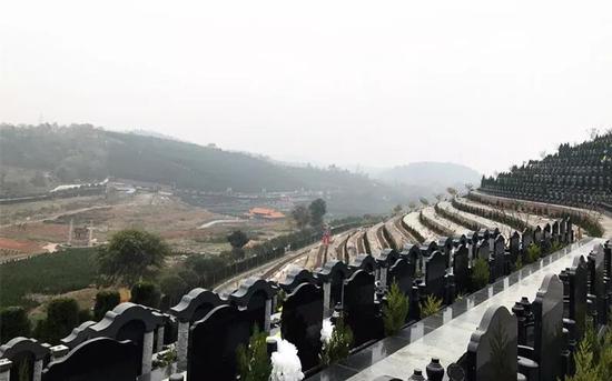 女医生自杀481天后:丈夫称每次采访像在接受审
