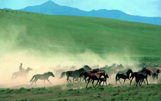 兼具历史底蕴和自然风光的山丹军马场