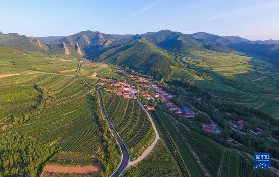 这是内蒙古赤峰市喀喇沁旗马鞍山村景色(2019年7月15日摄,无人机照片)。新华社记者 刘磊 摄