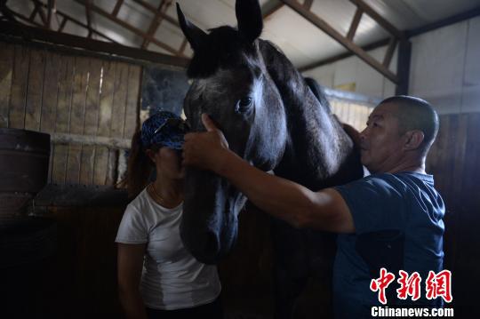 王海与女儿一起照料马匹。　刘文华　摄