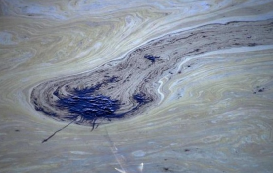 当地时间10月3日，美国加利福尼亚州亨廷顿海滩，鱼在被原油污染的海水中游动