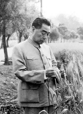 周恩来的图片:100张照片记录周恩来精彩一生(图) 1961年,周恩来与庐山同大学生亲切交谈。