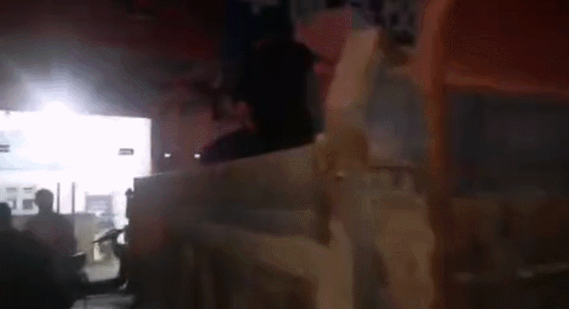 拖家带口，牵牛赶鹅…这里是全网都在感谢的王