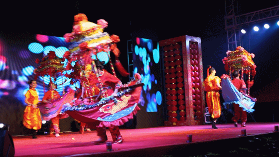 560_315gif 动态图 动图