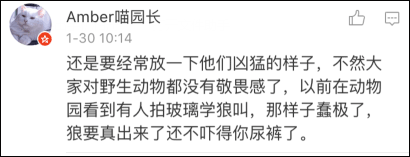 老虎的数码乐园