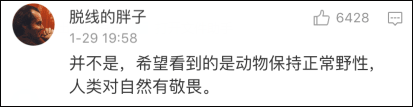 老虎的数码乐园