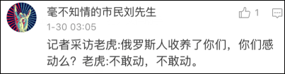 老虎的数码乐园