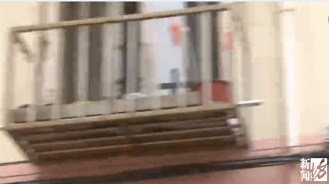 身长超过1米5 上海市中心出现大型蛇 居然跟小区里这个因素有关 新浪新闻